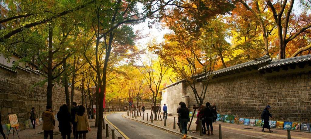 Bạn có thể dạo bước ngắm mùa thu trên con đường Jeongdong-gil