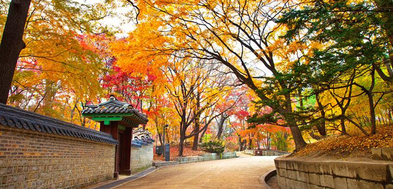 Khung cảnh mùa thu tại Seoul khiến du khách phải xao xuyến