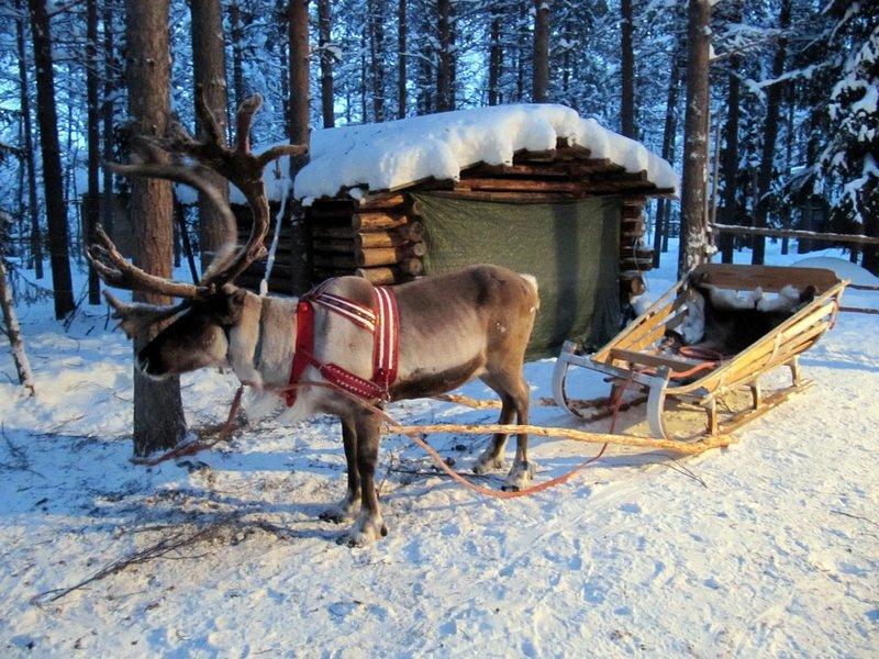Lapland – Nhà của ông già Nô-en