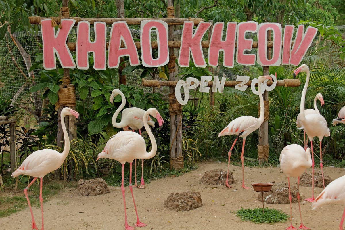 Vườn thú Khao Kheow có nhiều động vật quý hiếm