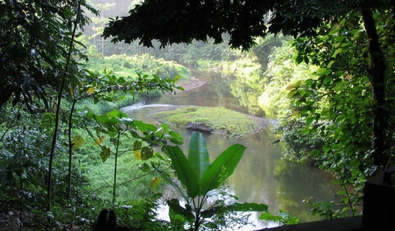 Ở Indonesia có rừng mưa nhiệt đới đảo Sumatra